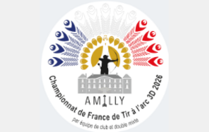 Championnat de France 3D mixtes et équipes de club