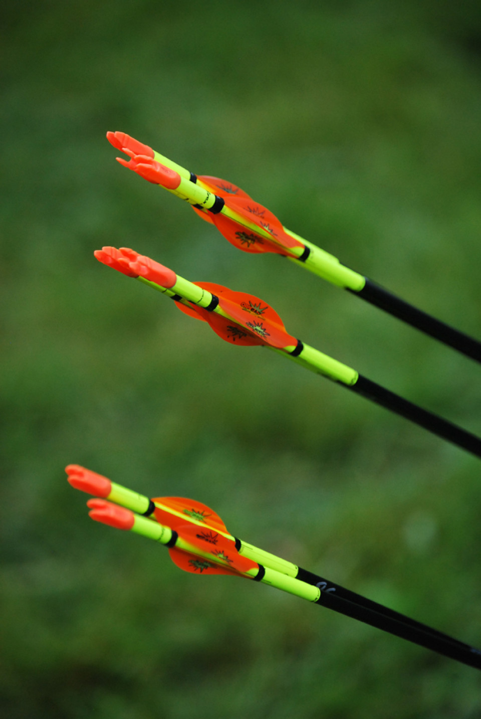 Concours Nature - 19/04/2026